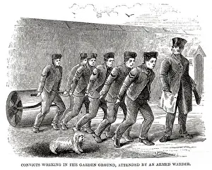 Millbank: Convicts working in garden, Millbank Prison