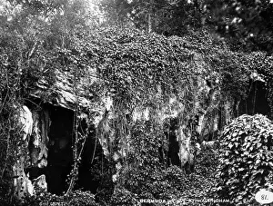 Walsingham: Convolvulus Cave at Walsingham, Bermuda 1873