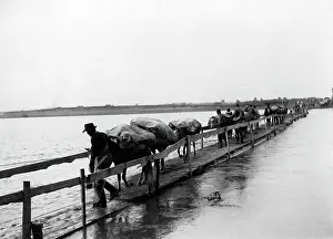 Munition: A convoy on a floating bridge in Serbia, 1915