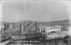 Conway: Conway Castle from Benarth Woods