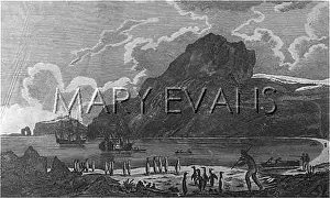 Kerguelen: COOK AT KERGUELEN ISLAND
