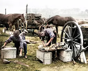 Crates: Cook preparing food for British troops, Western Front, WW1