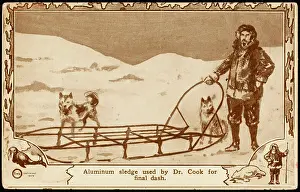 Dash: COOK AND SLEDGE