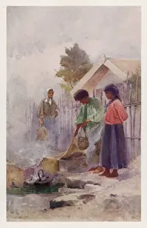 Maoris: COOKING IN A HOT SPRING