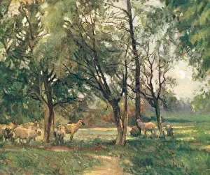 Bottomley: In Cool Pastures