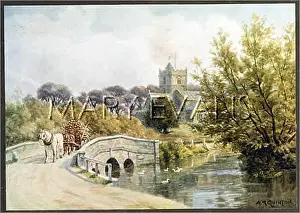 Coombe: COOMBE BISSETT/DORSET