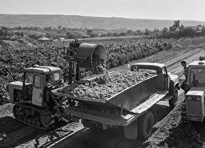 Mechanized: Cooperative Farm