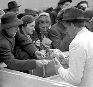 Pilsen: Cooperative vendor