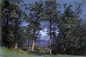 Haseltine: Coppet, Lake Geneva