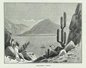 Cactaceae: Coquimbo, Chile