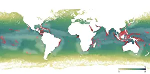 Bleaching: Coral Reef Bleaching Map
