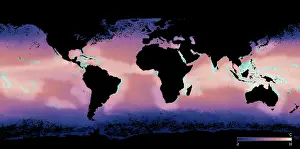Bleaching: Coral Reef Bleaching Map