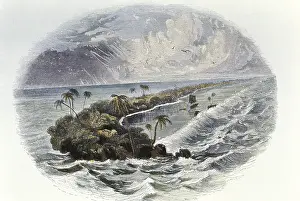 World History Archive: Coral Reef: hand coloured engraving published