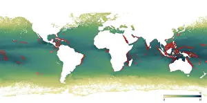 Bleaching: Coral Reef Location Map