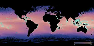Bleaching: Coral Reef Location Map