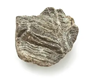 Gneiss: Cordierite-biotite-gneiss