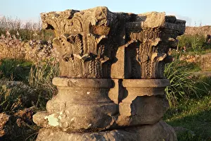 Decumanus: Corinthian capitals, Volubilis, Meknes-Tafilalet, Morocco