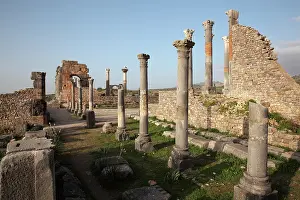 Tetrastyle: Corinthian colonnade, Volubilis, Meknes-Tafilalet, Morocco