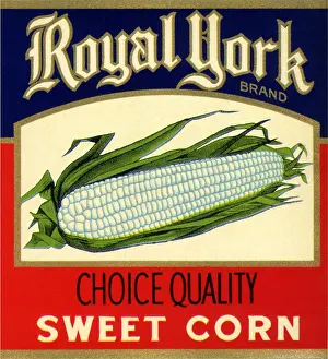Vegtable: Corn