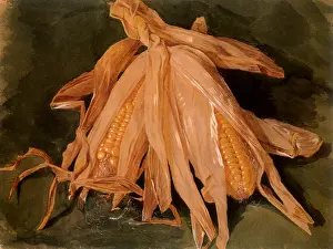 Crepe: Corn Cobs with Husks