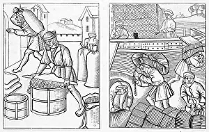 Dealing: CORN DEALING IN PARIS