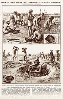 Storing: Corn in Egypt before the Pharaohs