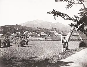 Stacks: Corn field in Japan, with stacks or stooks