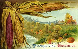 Veen: Corn, Hay and Pumpkins