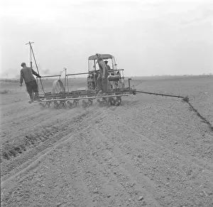 Seeding: Corn planting - field - Agricultural Cooperative