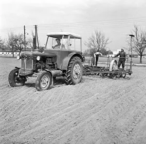 Seeding: Corn planting - field - Agricultural Cooperative
