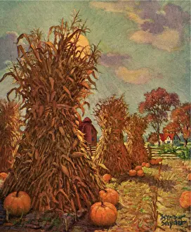 Bundles: Corn and Pumpkins