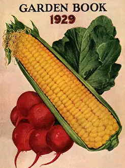 Packets: Corn and Radishes