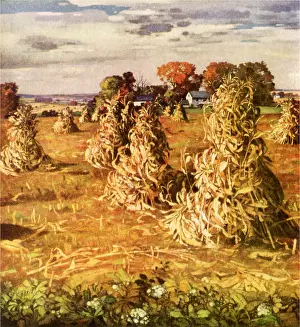 Bundles: Corn Stacks