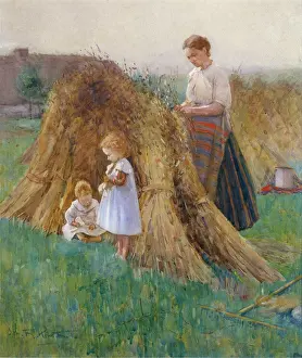 Stooks: The Corn Stooks
