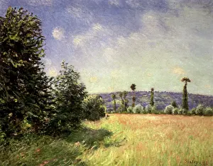 Clump: Corner of the Meadow at Sahurs, in Normandy, by Sisley