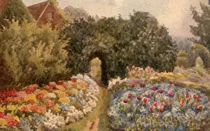 Abound: Corner of Spring Garden