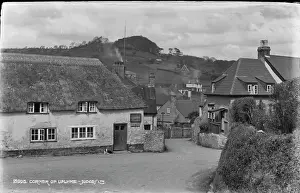 Thatched: Corner of Uplyme