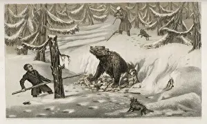 Cornering: CORNERING A BEAR