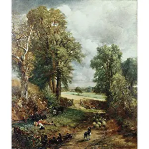 Cornfield: The Cornfield, by John Constable