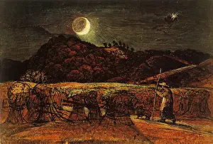 Cornfield: Cornfield by Moonlight with the Evening Star
