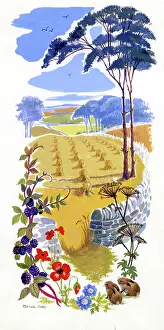 Blackberries: Cornfield with poppies and blackberries
