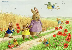 Cornfield: The Cornfield - rabbits, squirrels, mice, poppies