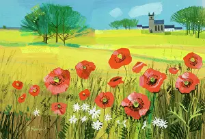 Cornfield: Cornfields with Poppies