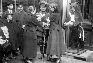 Cornflower: Cornflower Day in Berlin, 1916