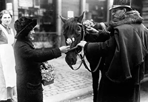 Coachman: Cornflower Day in Berlin, 1916