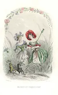 Geoffrois: Cornflower and poppy flower fairies