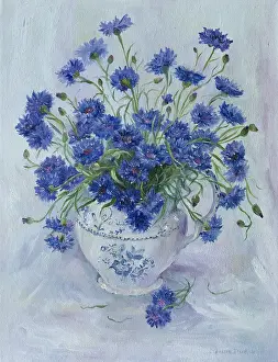 Cornflowers: Cornflowers in a White Jug