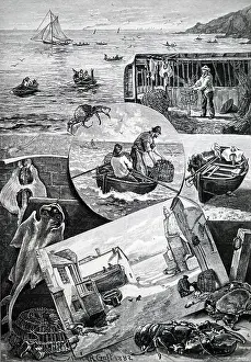 Crab: Cornish crab fishermen
