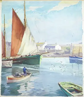 Seagulls: Cornish Harbour, with fishing boats