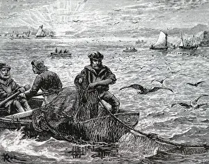 Pilchard: Cornish pilchard fishermen